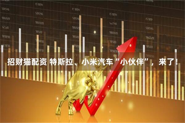 招财猫配资 特斯拉、小米汽车“小伙伴”，来了！