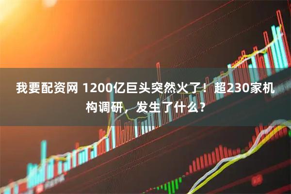 我要配资网 1200亿巨头突然火了！超230家机构调研，发生了什么？