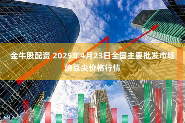 金牛股配资 2025年4月23日全国主要批发市场豌豆尖价格行情