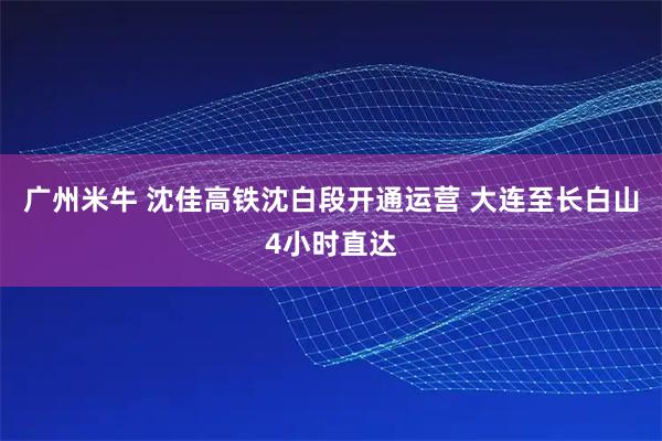 广州米牛 沈佳高铁沈白段开通运营 大连至长白山4小时直达