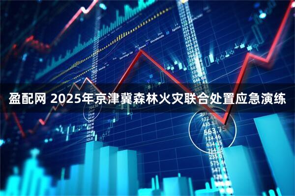 盈配网 2025年京津冀森林火灾联合处置应急演练