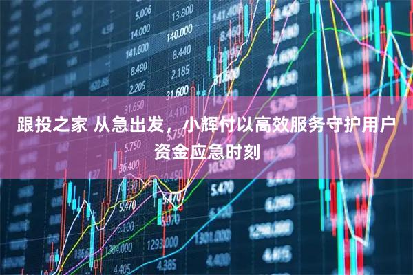 跟投之家 从急出发,小辉付以高效服务守护用户资金应急时刻