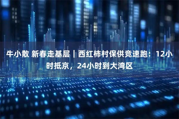 牛小散 新春走基层|西红柿村保供竞速跑:12小时抵京,24小时到大湾区