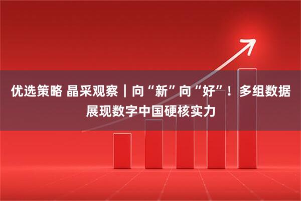 优选策略 晶采观察|向“新”向“好”!多组数据展现数字中国硬核实力