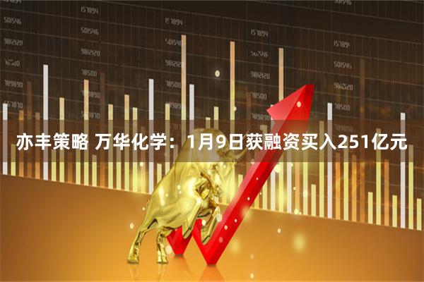 亦丰策略 万华化学：1月9日获融资买入251亿元