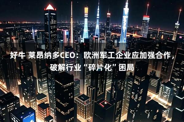 好牛 莱昂纳多CEO:欧洲军工企业应加强合作,破解行业“碎片化”困局