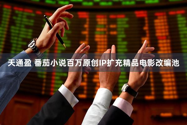 天通盈 番茄小说百万原创IP扩充精品电影改编池